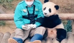 福宝宝最新爆料,最新爆料背后的惊人真相